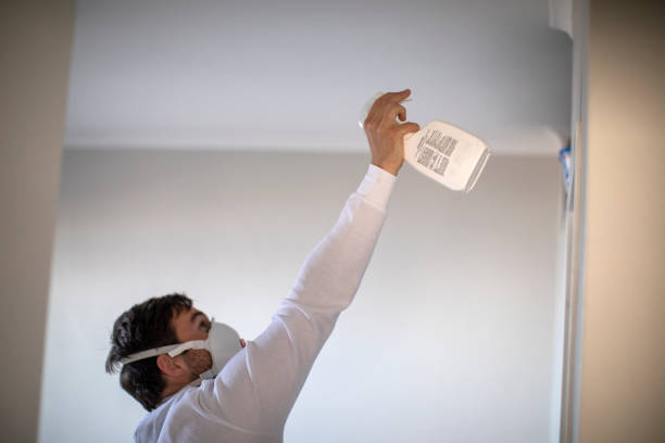 Best Best Mold Removal Companies  in Ellicott City, MD